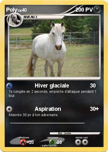 Pokemon Poly