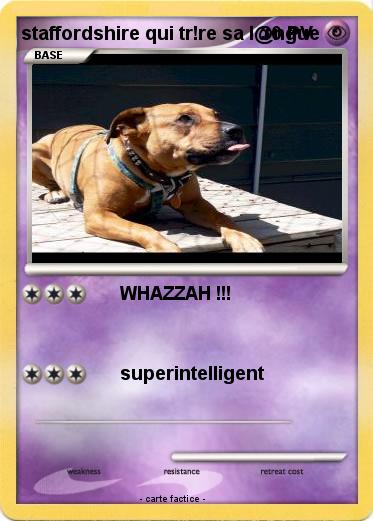 Pokemon staffordshire qui tr!re sa l@ngue