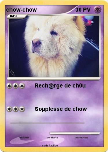 Pokemon chow-chow