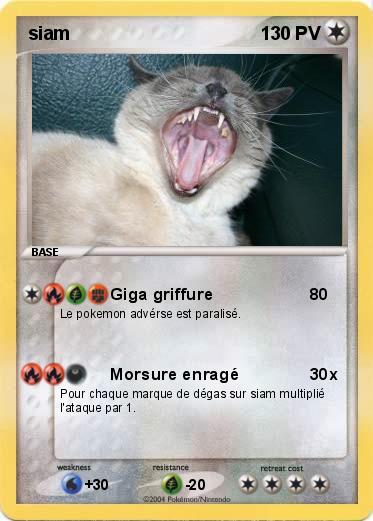 Pokemon siam