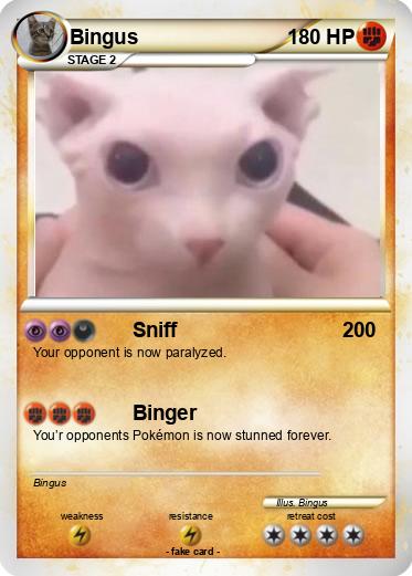 Pokemon Bingus