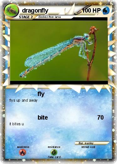 Pokemon dragonfly