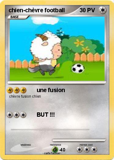Pokemon chien-chèvre football