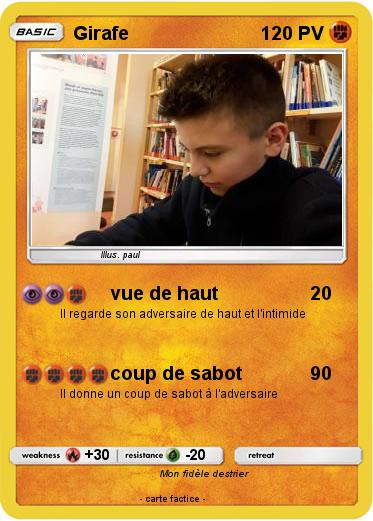 Pokemon Girafe