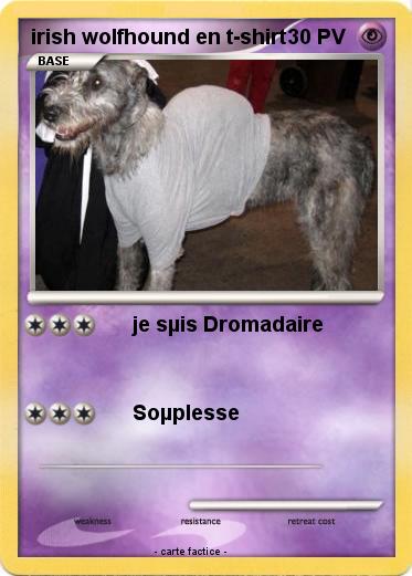 Pokemon irish wolfhound en t-shirt