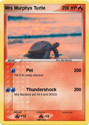Pokemon Mrs Murphys Turtle
