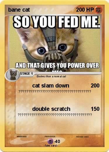 Pokemon bane cat