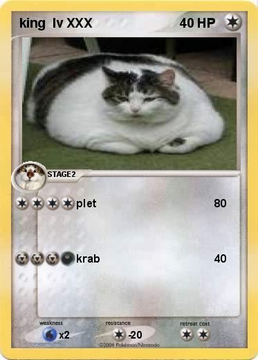 Pokemon king  lv XXX