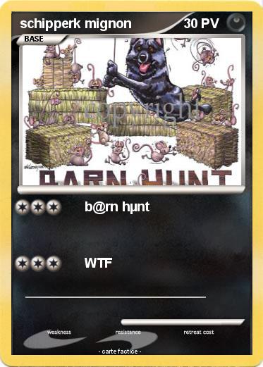 Pokemon schipperk mignon