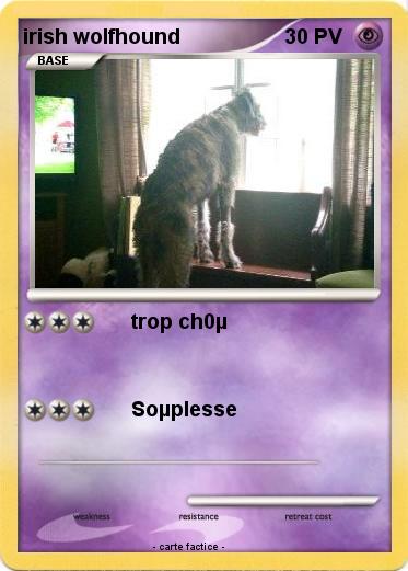 Pokemon irish wolfhound