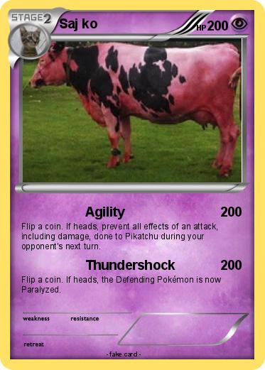 Pokemon Saj ko
