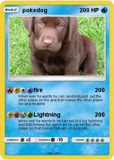 Pokemon pokedog