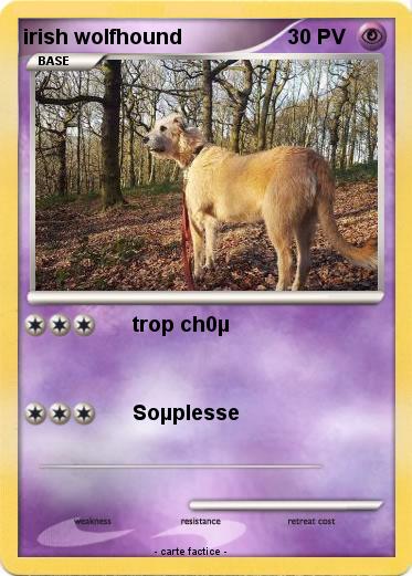 Pokemon irish wolfhound