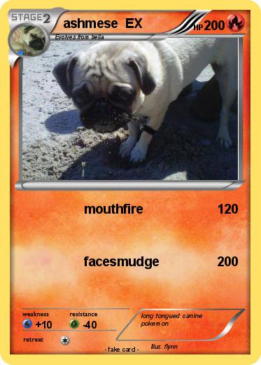 Pokemon ashmese  EX