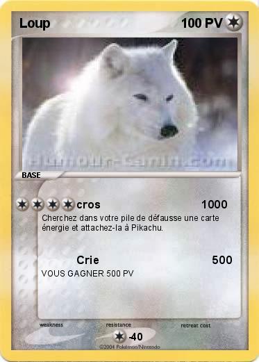 Pokemon Loup                                    