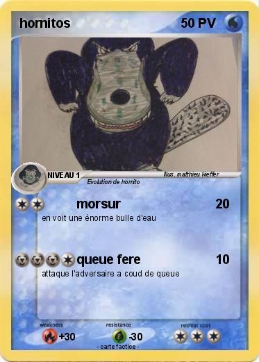 Pokemon hornitos