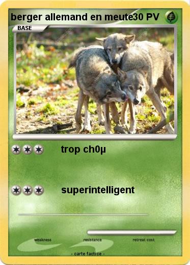 Pokemon berger allemand en meute