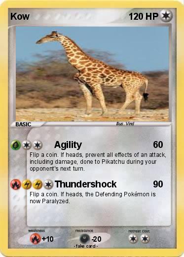 Pokemon Kow