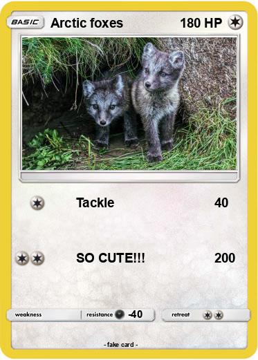 Pokemon Arctic foxes