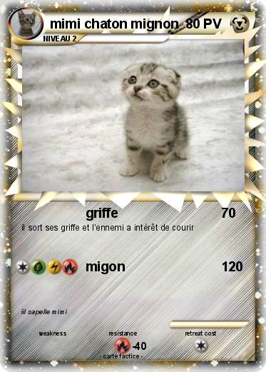 Pokemon mimi chaton mignon