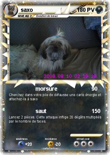 Pokemon saxo