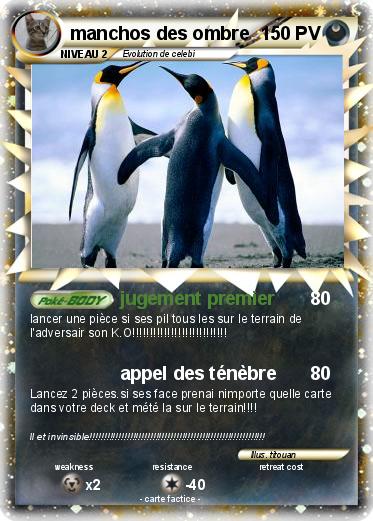 Pokemon manchos des ombre