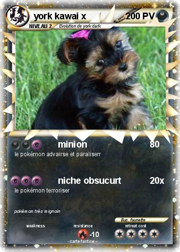 Pokemon york kawai x