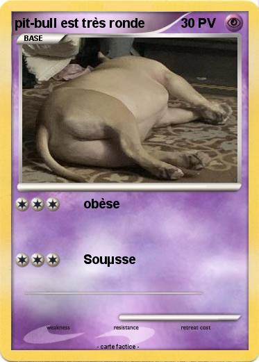 Pokemon pit-bull est très ronde