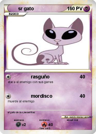 Pokemon sr gato