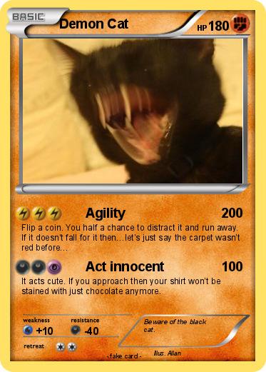 Pokemon Demon Cat