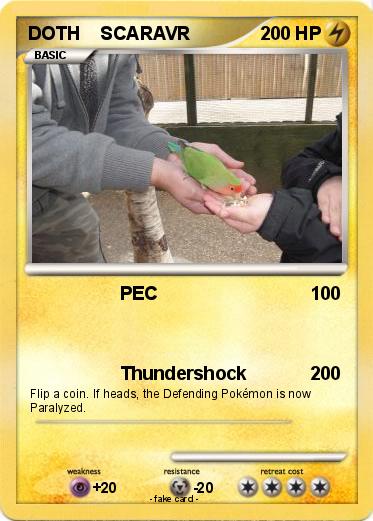Pokemon DOTH    SCARAVR