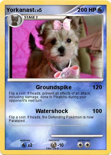 Pokemon Yorkanast