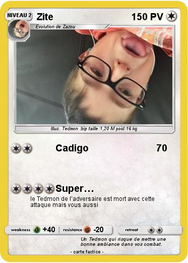 Pokemon Zite
