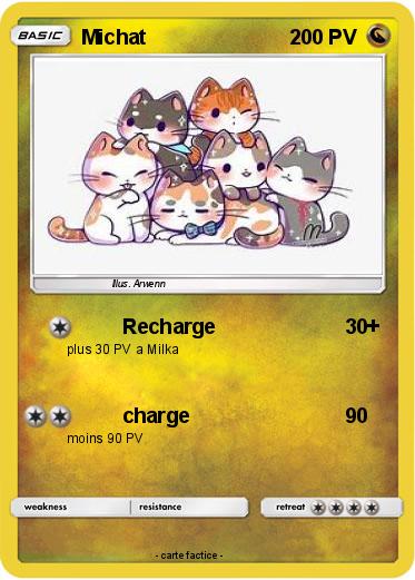 Pokemon Michat