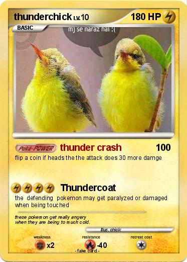 Pokemon thunderchick
