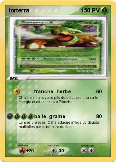 Pokemon torterra  