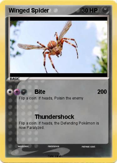 Pokemon Winged Spider