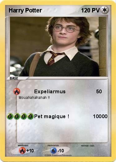 Pokemon Harry Potter