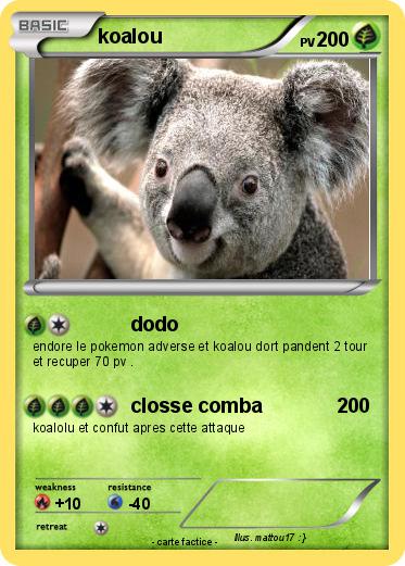 Pokemon koalou