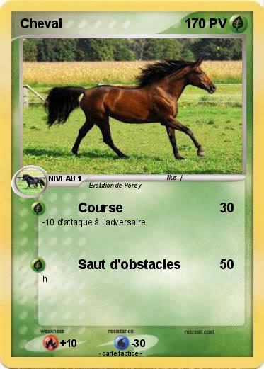 Pokemon Cheval