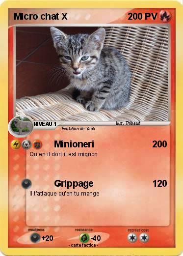 Pokemon Micro chat X