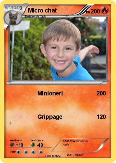 Pokemon Micro chat
