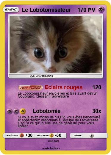 Pokemon Le Lobotomisateur