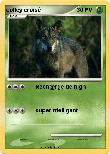 Pokemon colley croisé