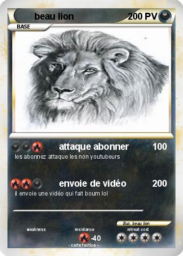 Pokemon beau lion