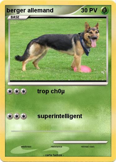 Pokemon berger allemand