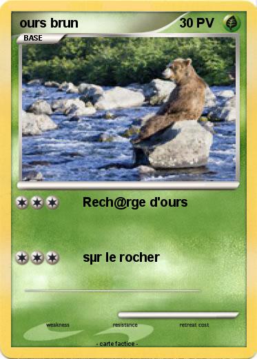 Pokemon ours brun