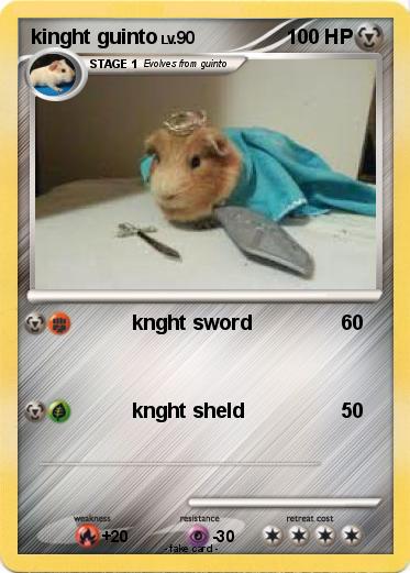 Pokemon kinght guinto