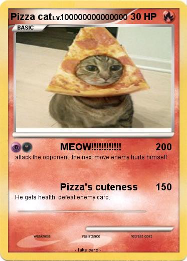 Pokemon Pizza cat