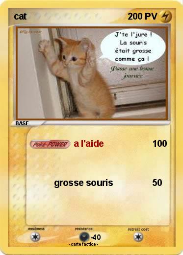 Pokemon cat